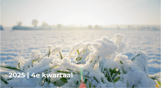 Kwartaalbericht 2025 Q4