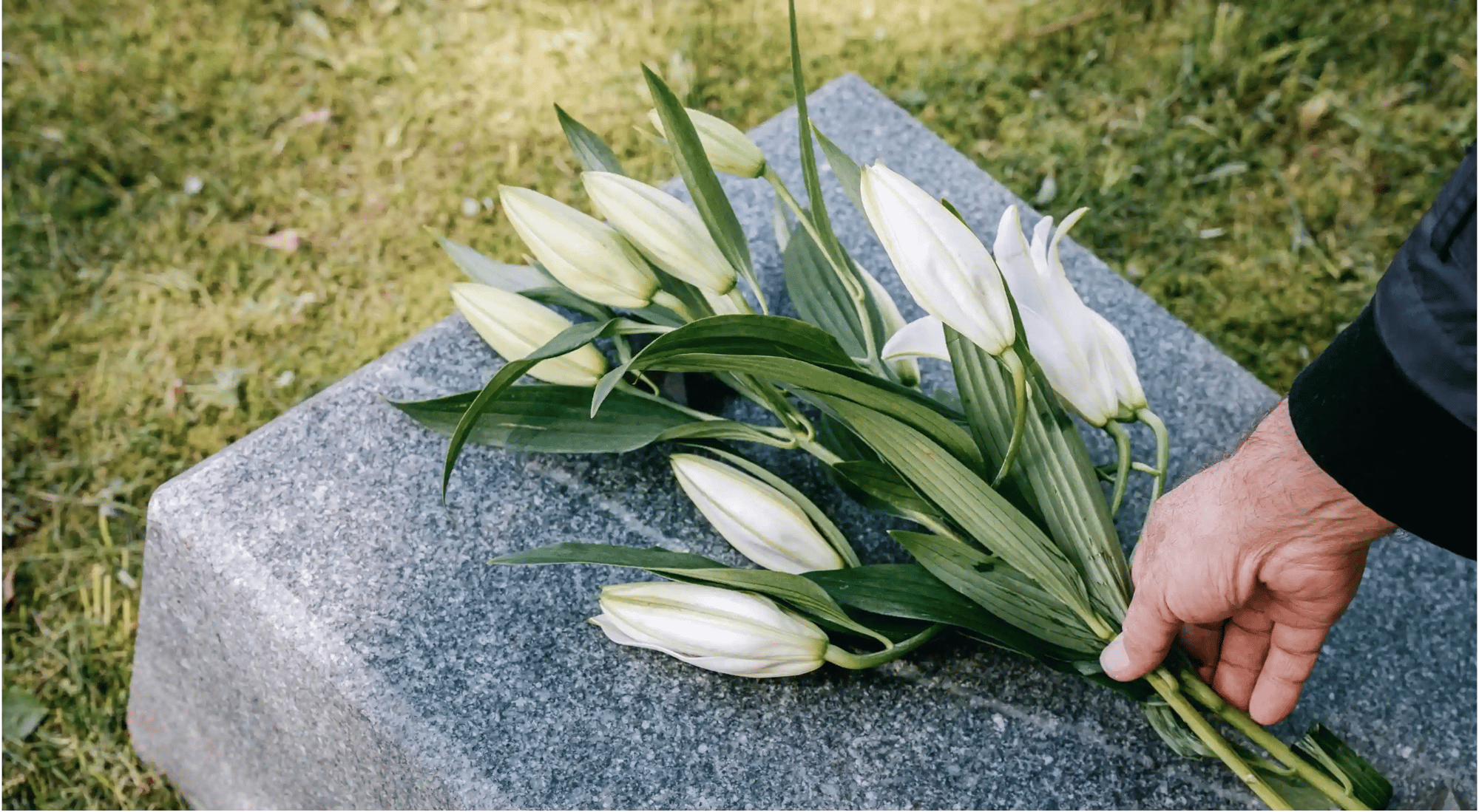 Hand legt een boeket witte lelies op een grafsteen