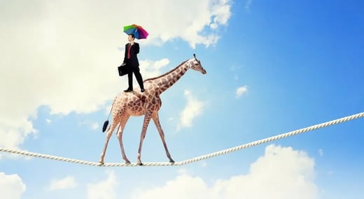 Wat is zeer offensief beleggen?
