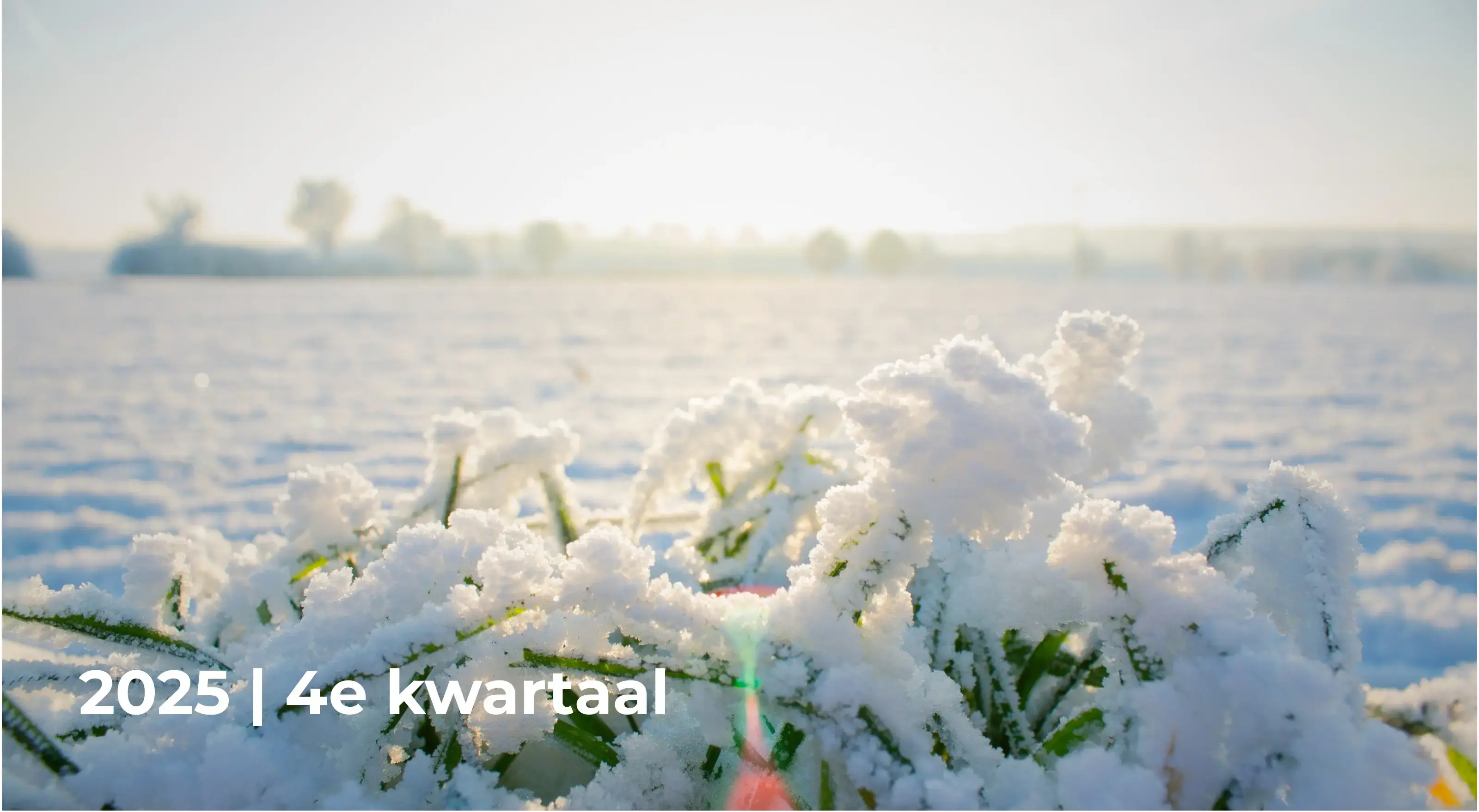 Kwartaalbericht 2025 Q4