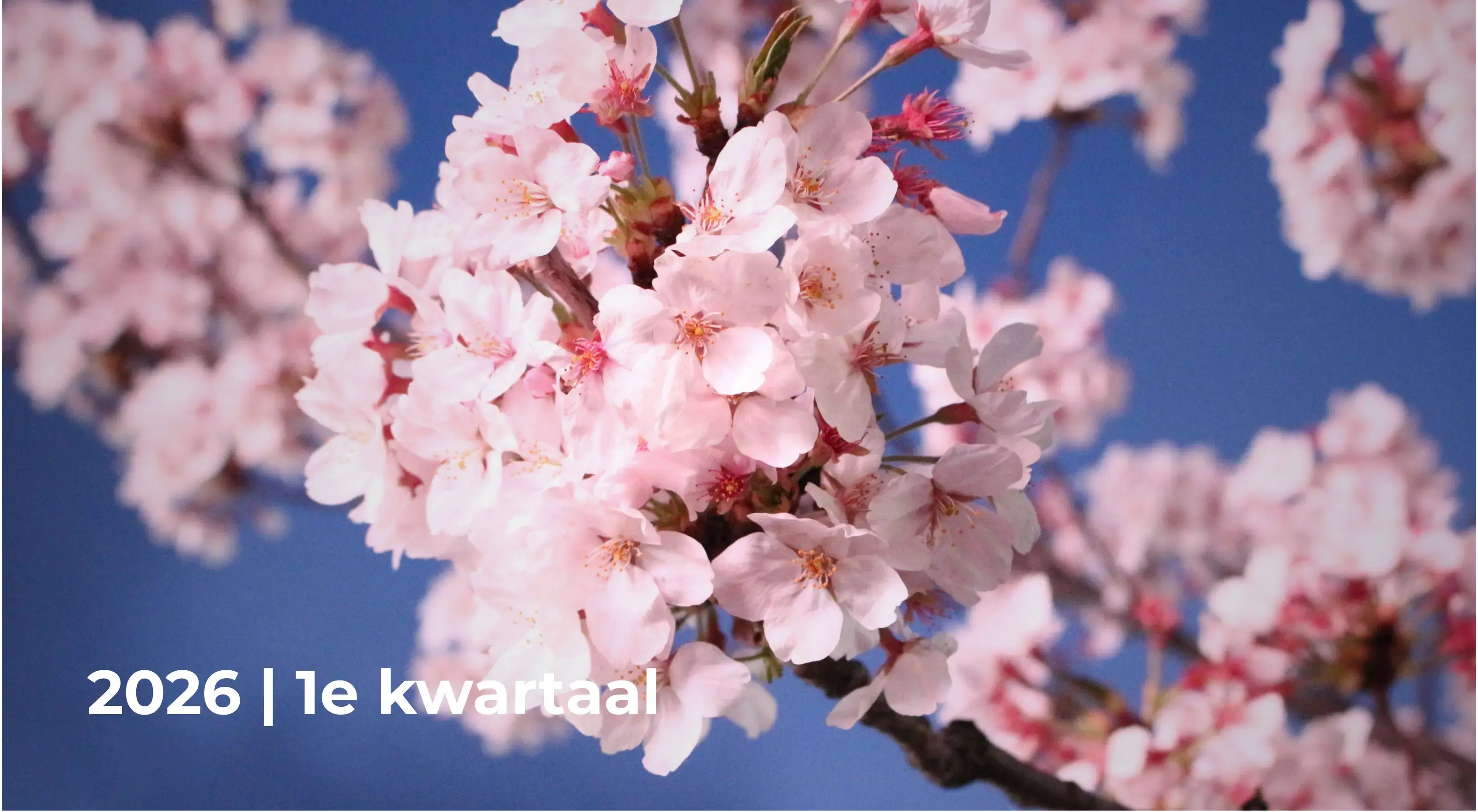 Kwartaalbericht 2026 Q1