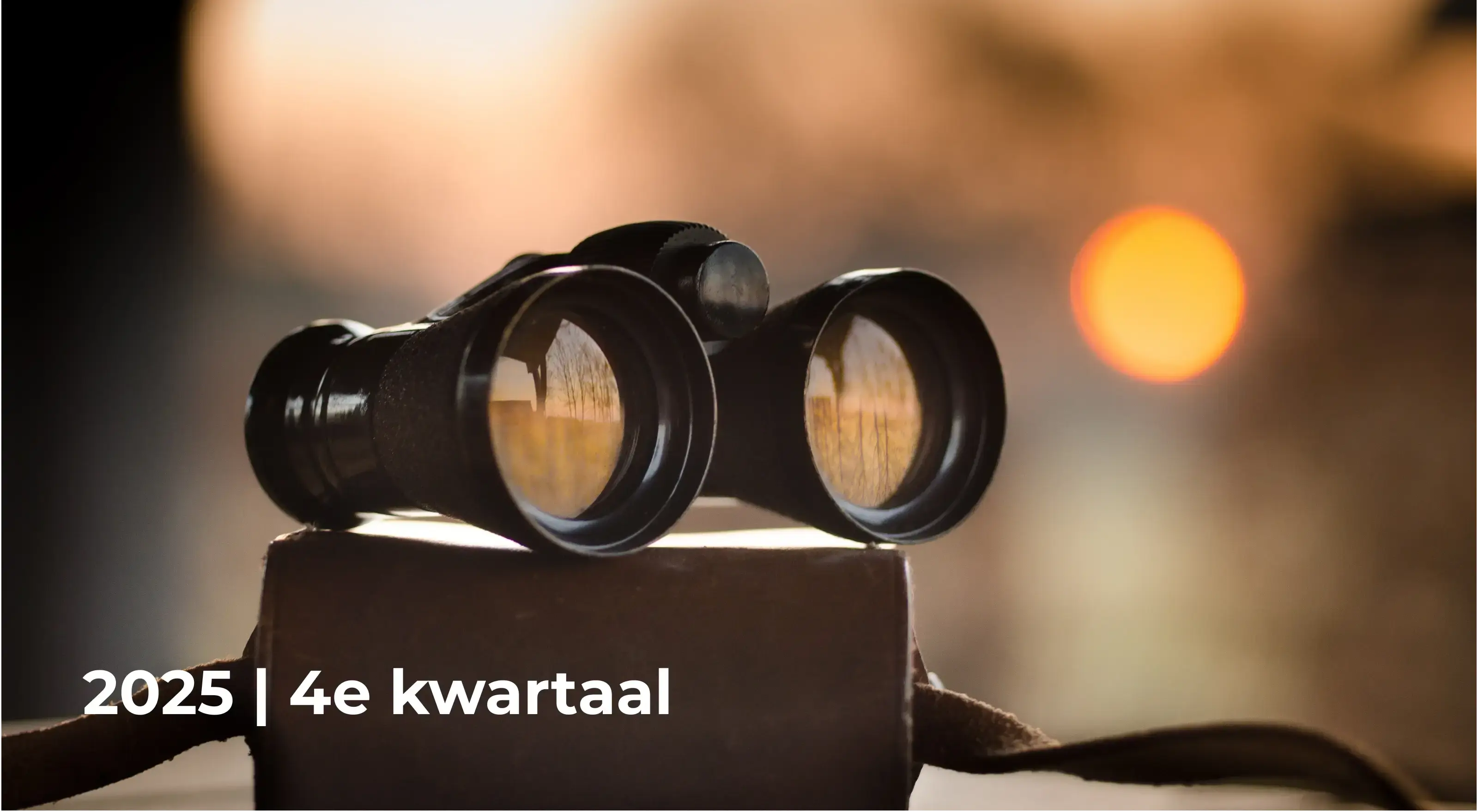 Onze vooruitblik - januari 2026