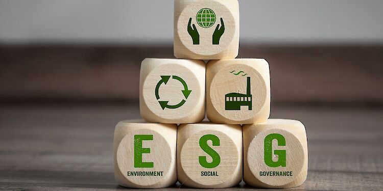Wat is ESG beleggen en hoe werkt het?